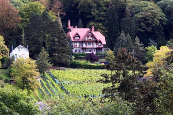 Chateau Bon Baron (Dinant)