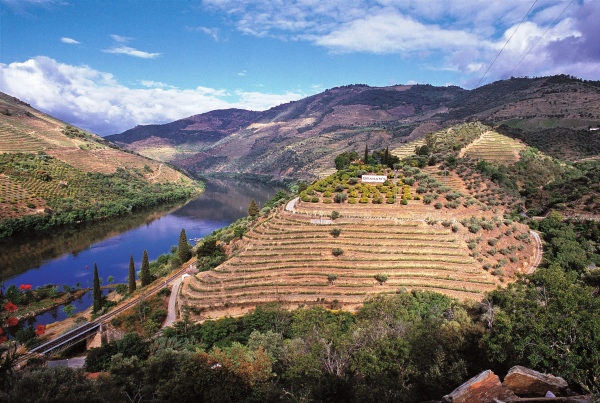 Grahams - Quinta dos Malvedos