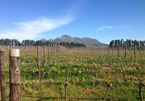 Helderberg - Stellenbosch