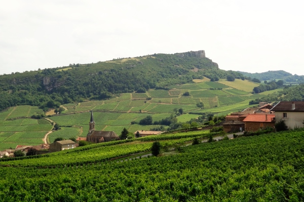 Verschillende wijngaarden in Pouilly-Fuisse