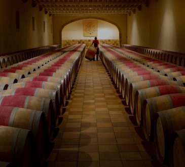 Bordeaux wine barrels (photo: UGCB)