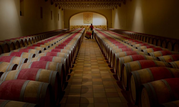 Bordeaux wine barrels (photo: UGCB)