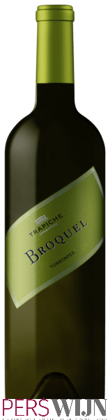 Trapiche Broquel Torrontés 2019 Salta