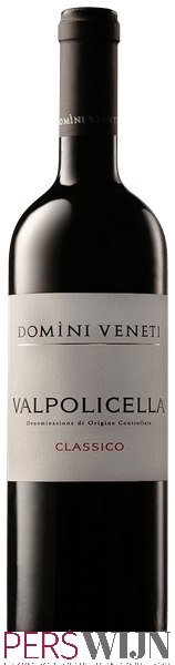 Domini Veneti Valpolicella Classico 2019 Veneto Valpolicella