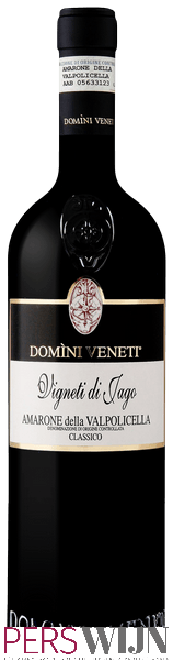 Domini Veneti Vigneti di Jago Amarone della Valpolicella Classico 2013 Veneto Amarone della Valpolicella