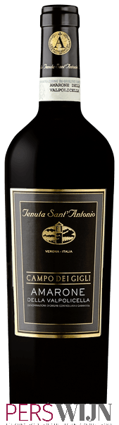 Tenuta Sant’Antonio Amarone della Valpolicella Campo dei Gigli 2015 Veneto