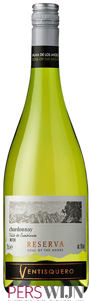 Ventisquero Reserva Chardonnay 2018 Casablanca Valley