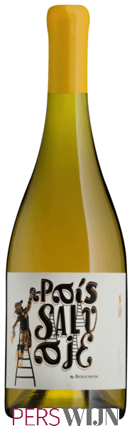 J. Bouchon Pais Salvaje Blanco 2019 Maule Valley