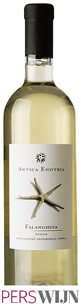 Antica Enotria Falanghina 2019