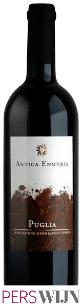 Antica Enotria Rosso 2018