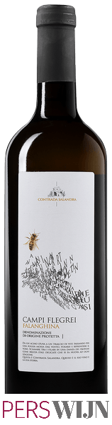 Contrada Salandra Falanghina Campi Flegrei 2014