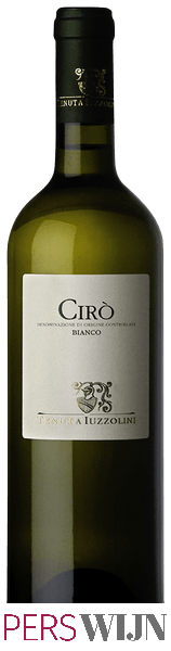 Tenuta Luzzolini Cirò Bianco 2019