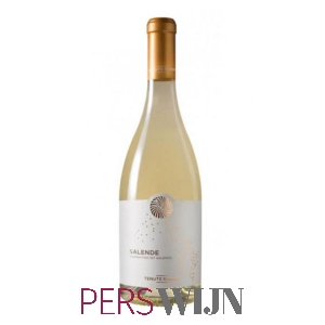 Tenute Rubino Vermentino 2018