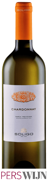 Soligo Chardonnay 2019 Veneto