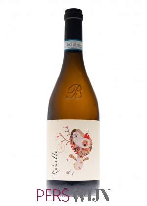 Brandini Rebelle 2018