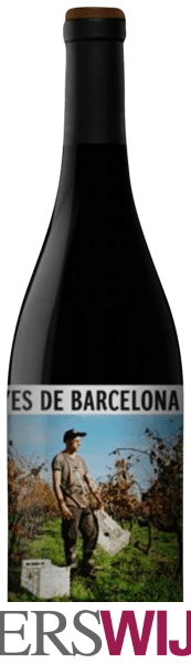 L’Olivera Vinyes de Barcelona 2017 Cataluña – Catalunya