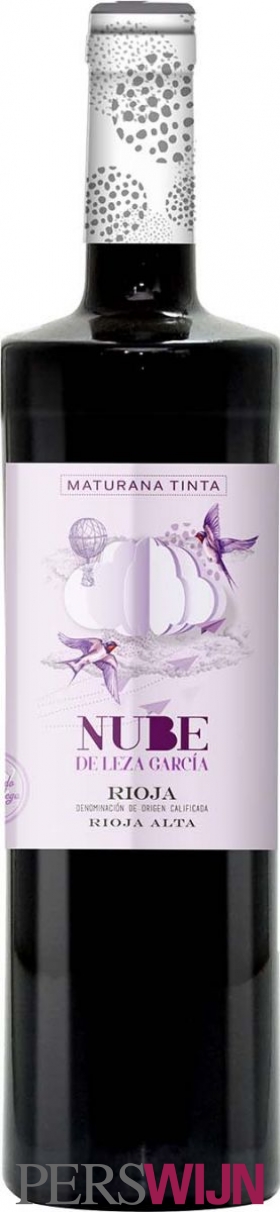 Nube de Leza García Maturana Tinta 2020