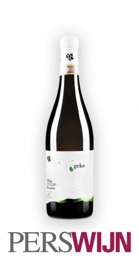 RipaWine “Geko” Offida Pecorino 2021