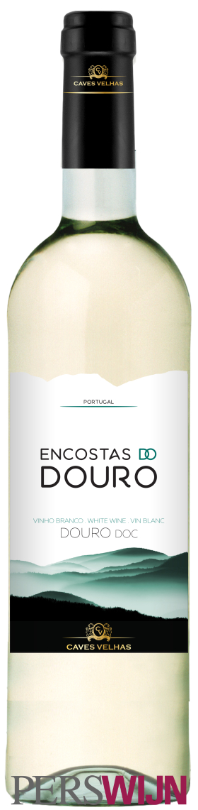 Enoport wines Encostas do douro 2021