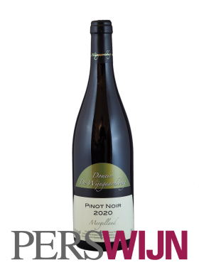 Wijngaardsberg Pinot Noir 2021 2021