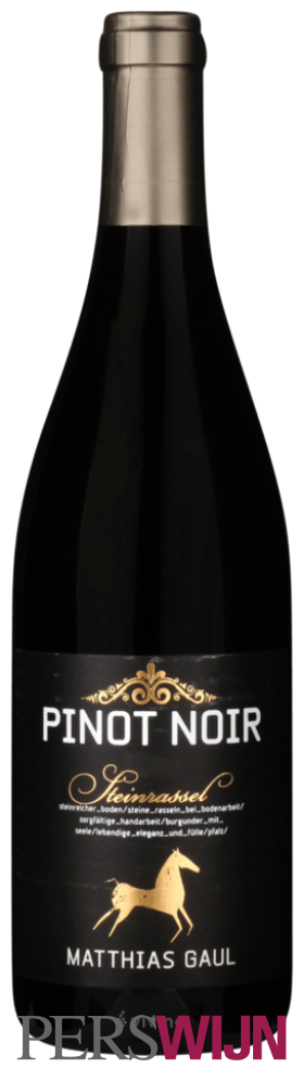 Matthias Gaul Steinrassel Pinot Noir 2020