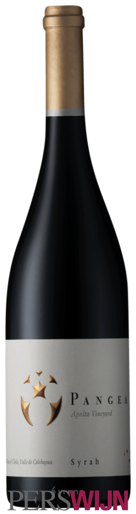 Ventisquero Pangea Syrah 2013