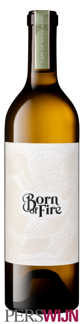 Julien Schaal Born of Fire Chenin Blanc  2021