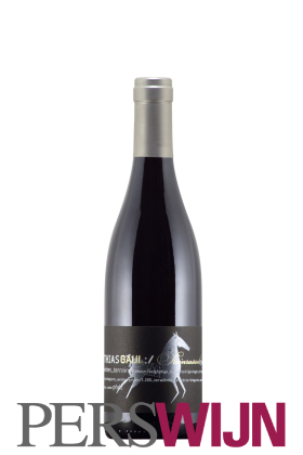 Matthias Gaul Steinrassel Pinot Noir 2021