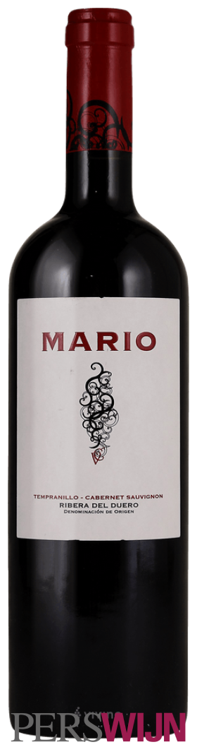 Vega Clara Mario Tempranillo – Cabernet Sauvignon 2019