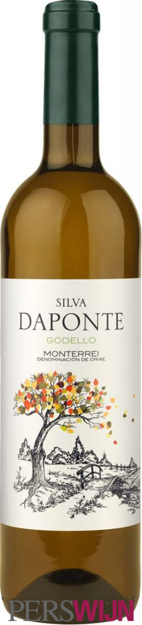 Bodegas Chaves Silva Daponte Godello 2022