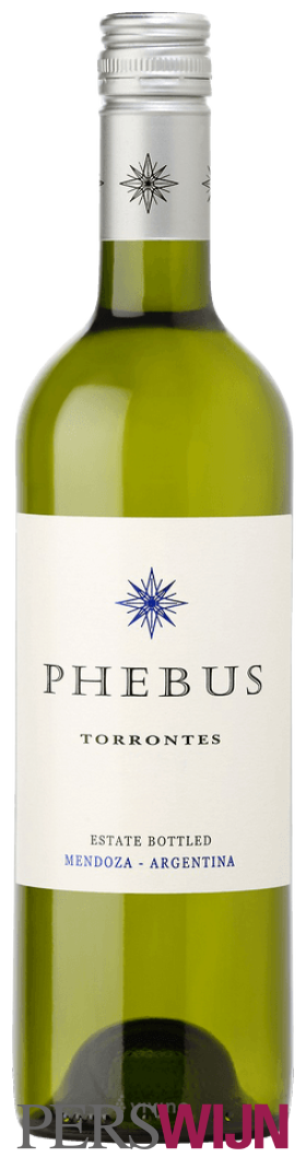 Phebus Torrontes 2023