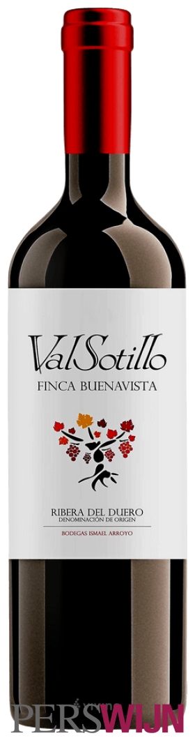 Bodegas Ismael Arroyo Valsotillo Finca Buenavista 2019