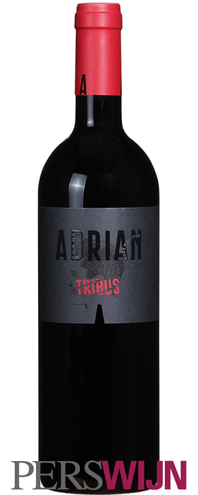 Weingut Adrian Tribus 2021