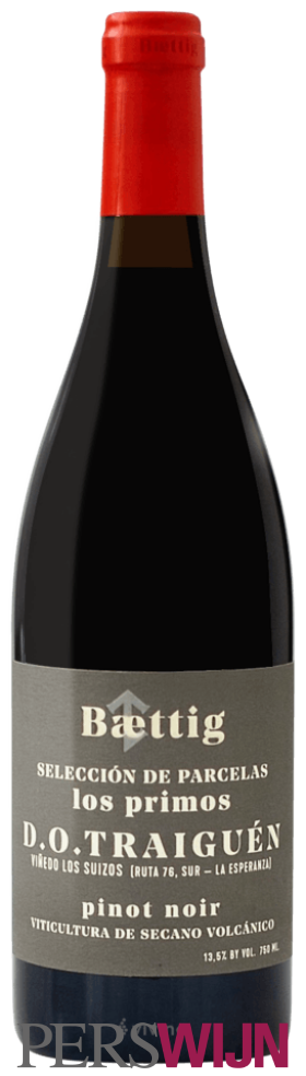 Baettig Selección de Parcelas Los Primos Pinot Noir 2021 Malleco Valley