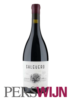 Bodegas Pradorey El Salguero Tinto 2018 Castilla y Léon Ribera del Duero