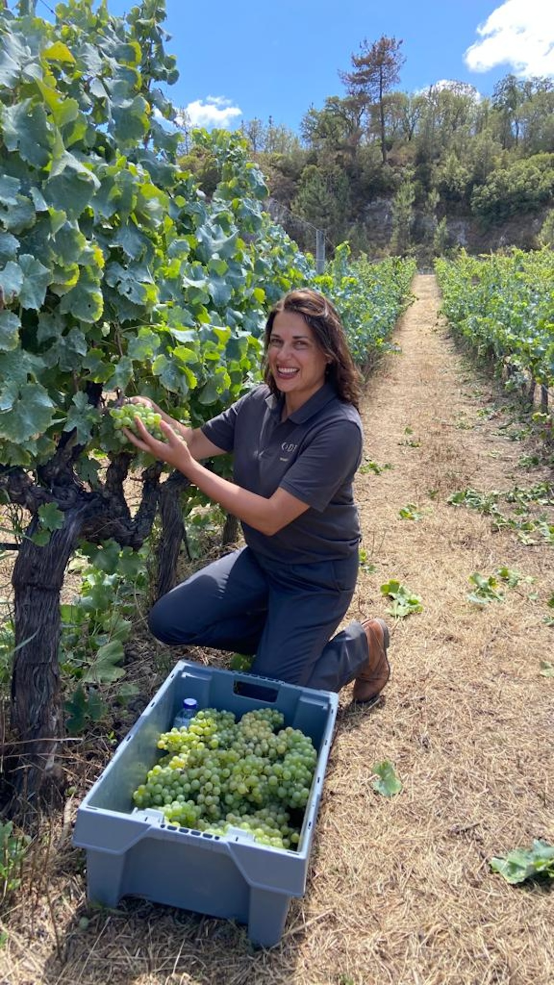 Wijnmaker Maria Vicente in de Ode Winery - Tejo