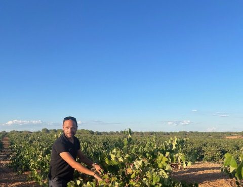 In de wijngaard met bobal bodegas Ponce