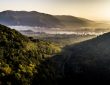 Wachau rechteroever Ried Goldberg