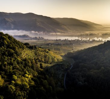 Wachau rechteroever Ried Goldberg