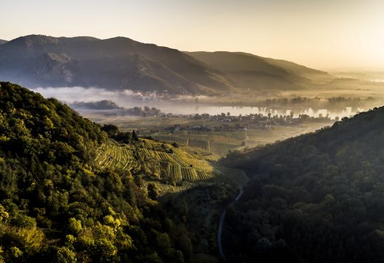 Wachau rechteroever Ried Goldberg