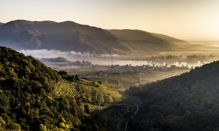 Wachau rechteroever Ried Goldberg