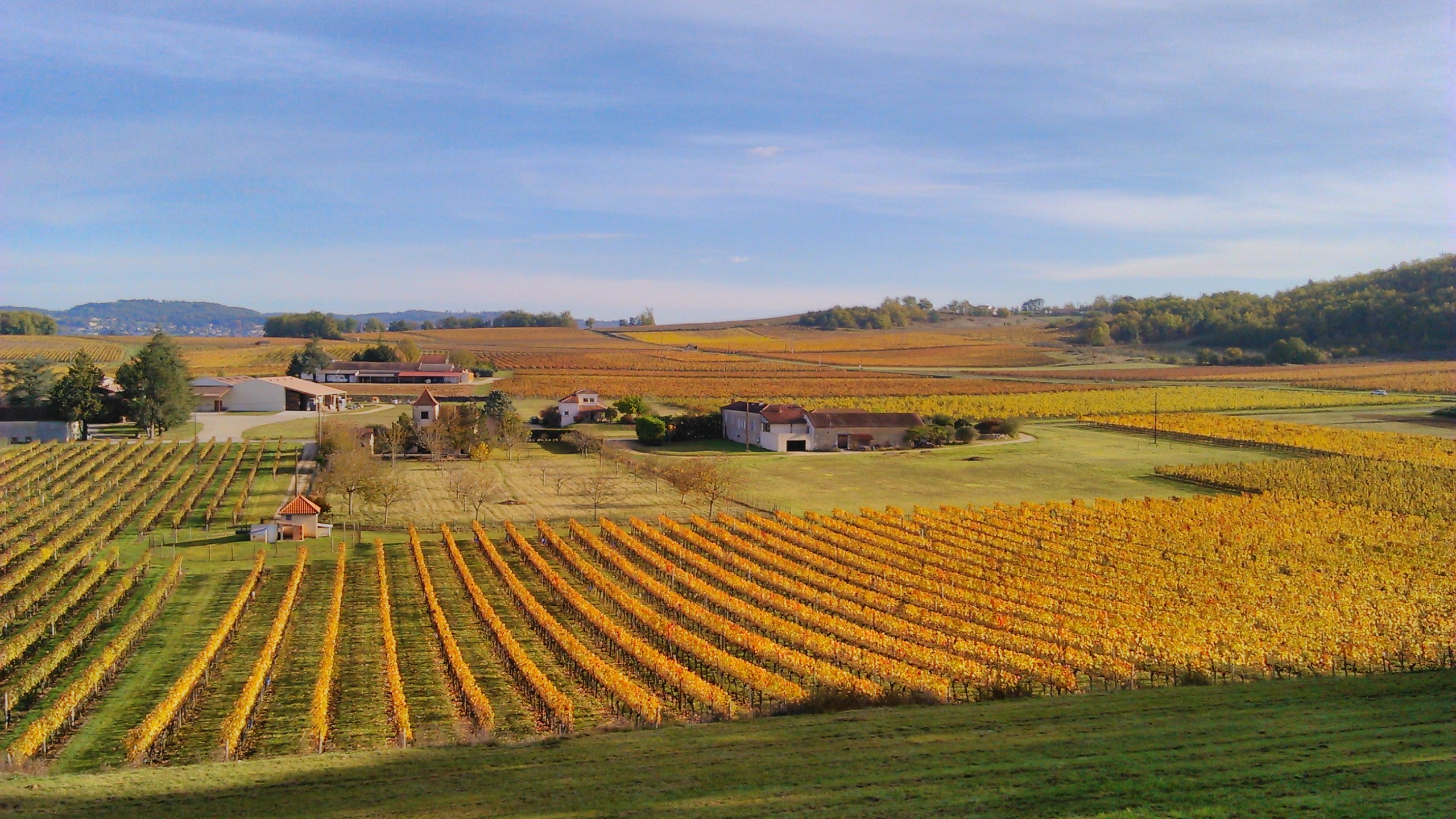 Appellation Cahors - Bij Château de Gaudou