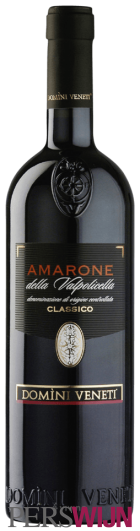 Domini Veneti Amarone della Valpolicella Classico 2021 Veneto Valpolicella