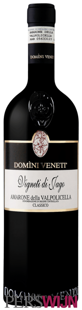 Domini Veneti Vigneti di Jago Amarone della Valpolicella Classico 2017 Veneto Valpolicella