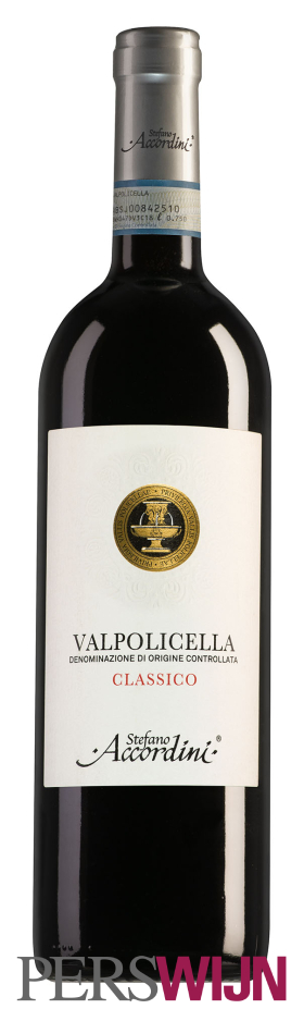 Stefano Accordini Valpolicella Classico 2023 Veneto Valpolicella