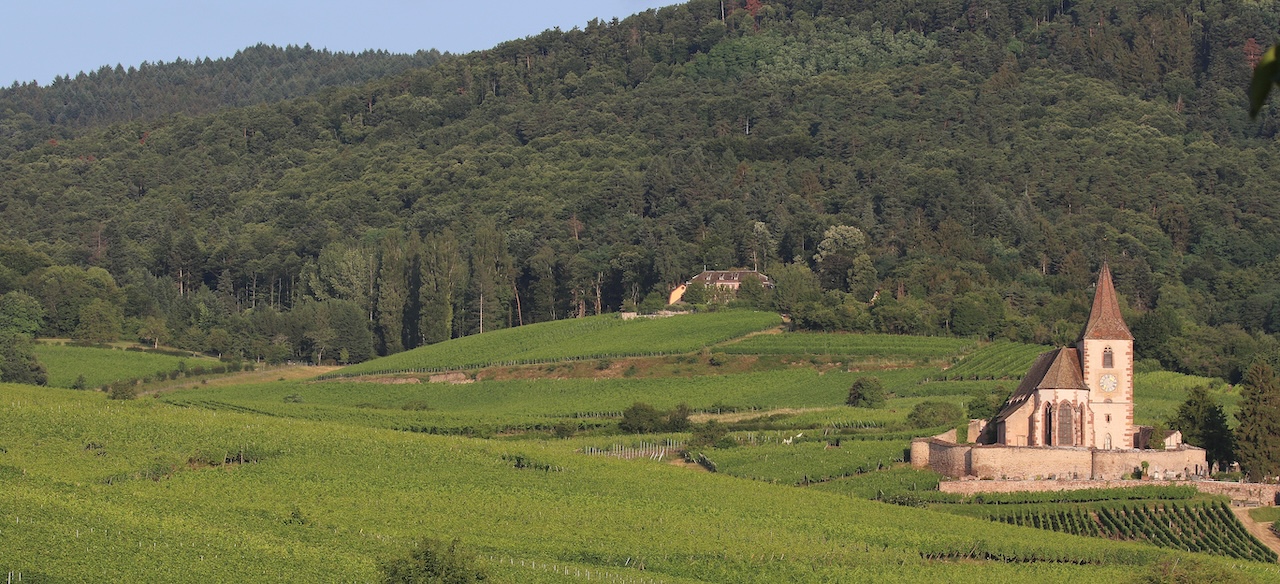 Clos Windsbuhl - ©Norbert Hecht