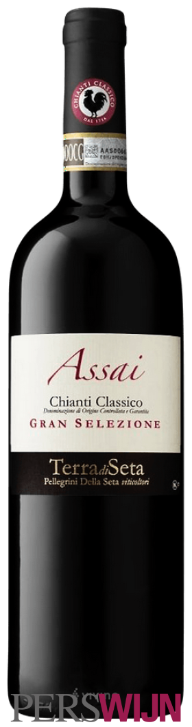 Terra di Seta Assai Gran Selezione Chianti Classico 2021 Toscana