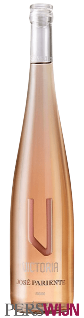 José Pariente Victoria Rosado 2024 Castilla y Léon VT Castilla y Leon