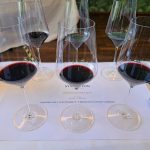 Symington Vintage Port Day