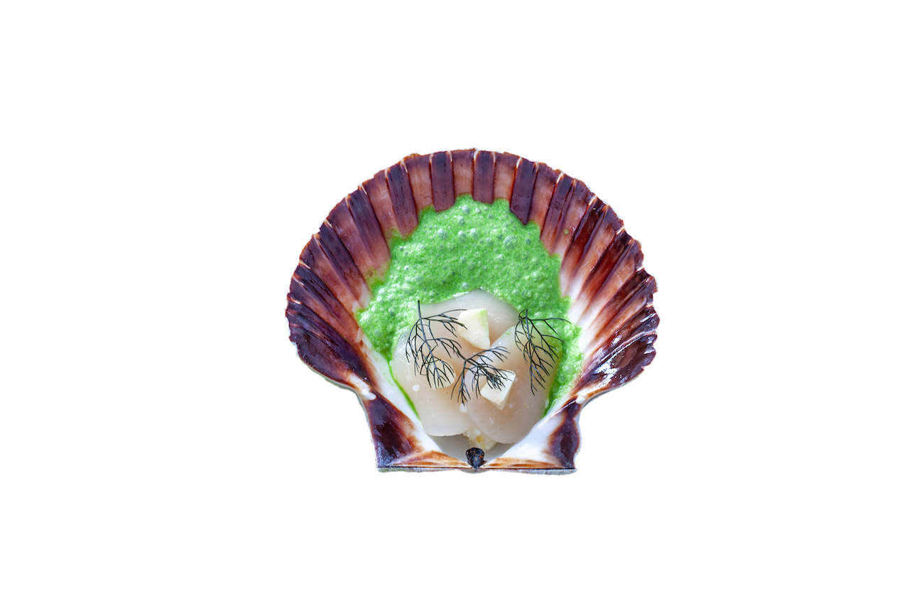 Coquille - aan tafel 5